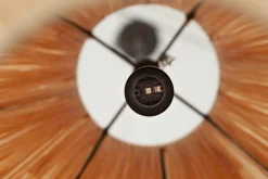 Flamant Aimee, Hanglamp, Raffia En Ijzer, L