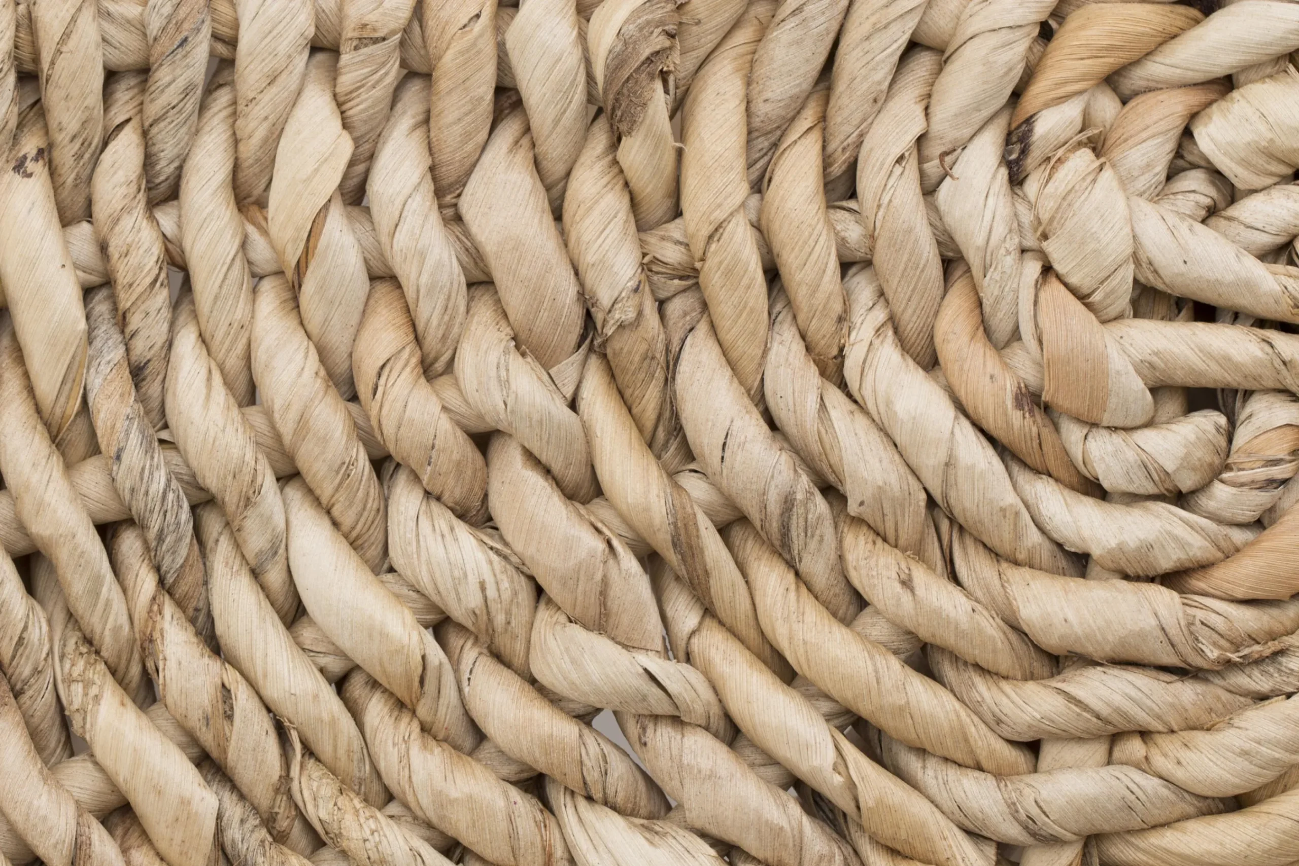 Flamant Alnwick, Kruk, Reed