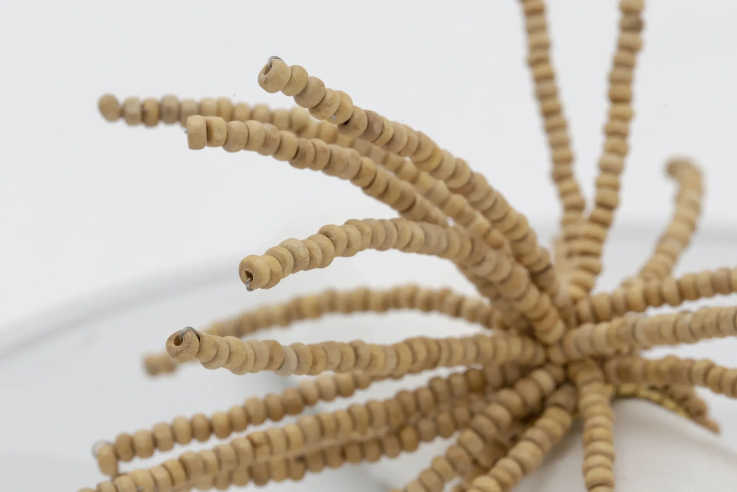 Flamant Andrik, Servetring, Kralen