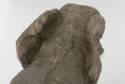 Flamant Arabela, Olifant, 25,5Cm