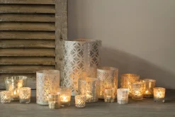 Flamant Bord De Seine