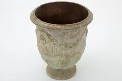 Flamant Ceanu, Planter, L