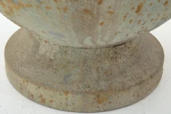 Flamant Ceanu, Planter, L