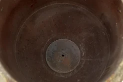 Flamant Ceanu, Planter, S