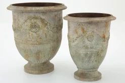 Flamant Ceanu, Planter, S