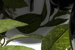 Flamant Chiaz, Vaas, Glas, Zwart