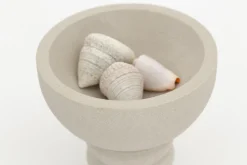 Flamant Costanza, Kom, Zandsteen