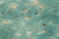 Flamant Cresta, Serveerbord, Keramiek, Turkoois, Ovaal