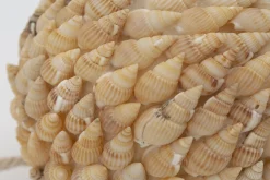 Flamant Darcio, Decobal, L