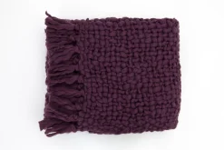 Flamant Einstein, Geruit, Paars