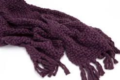 Flamant Einstein, Geruit, Paars