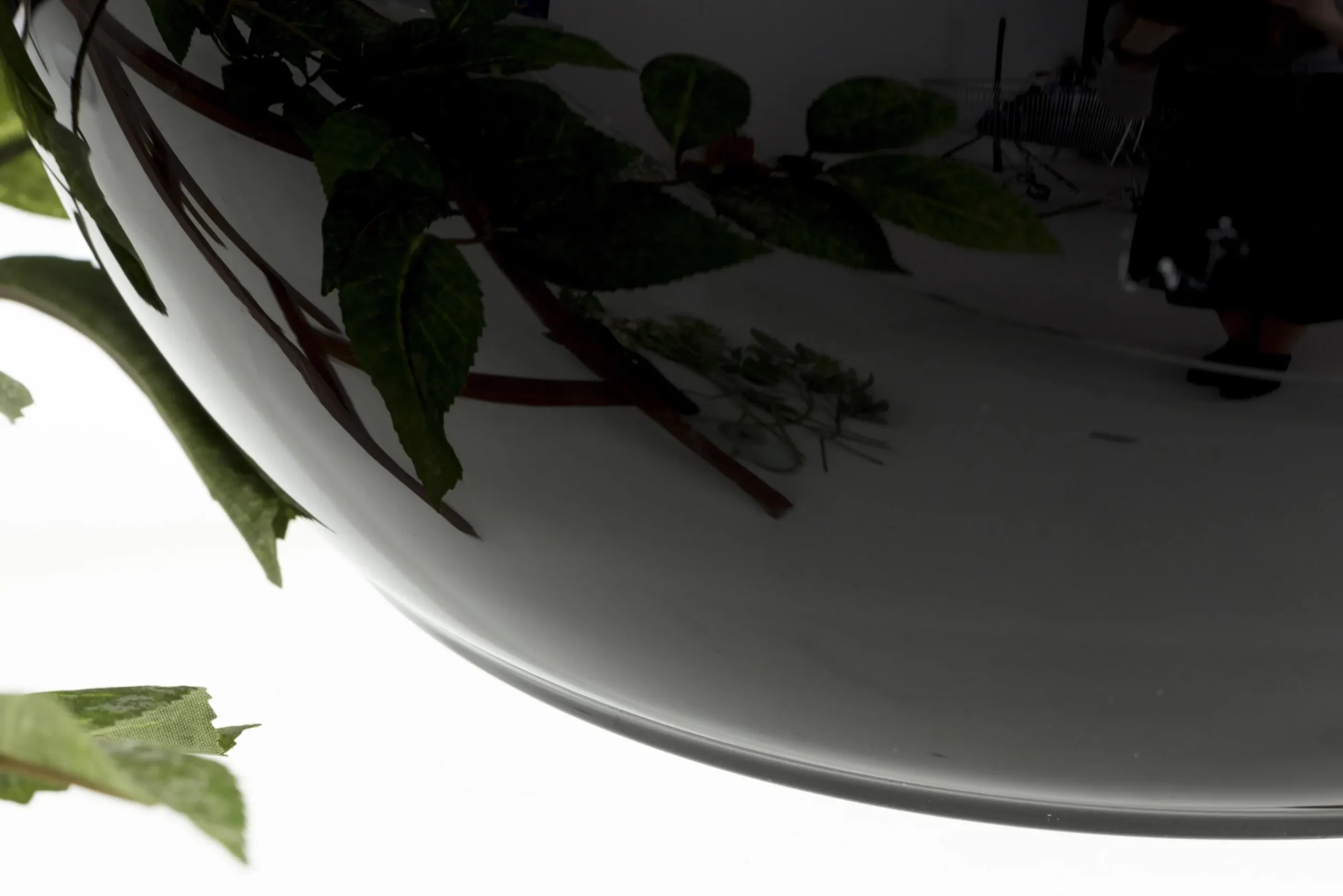 Flamant Griegos, Vaas, Glas, Zwart