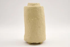 Flamant Iverna, Pot, S