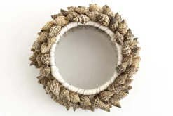 Flamant Kanare, Servetring, Schelpen