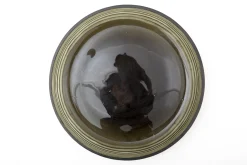 Flamant Kemi, Schotel, Glas