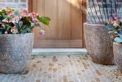 Flamant Kronob, Planter, S