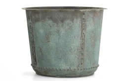 Flamant Manoli, Planter, L