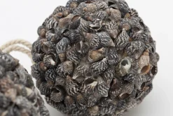 Flamant Maranza, Decobal, L