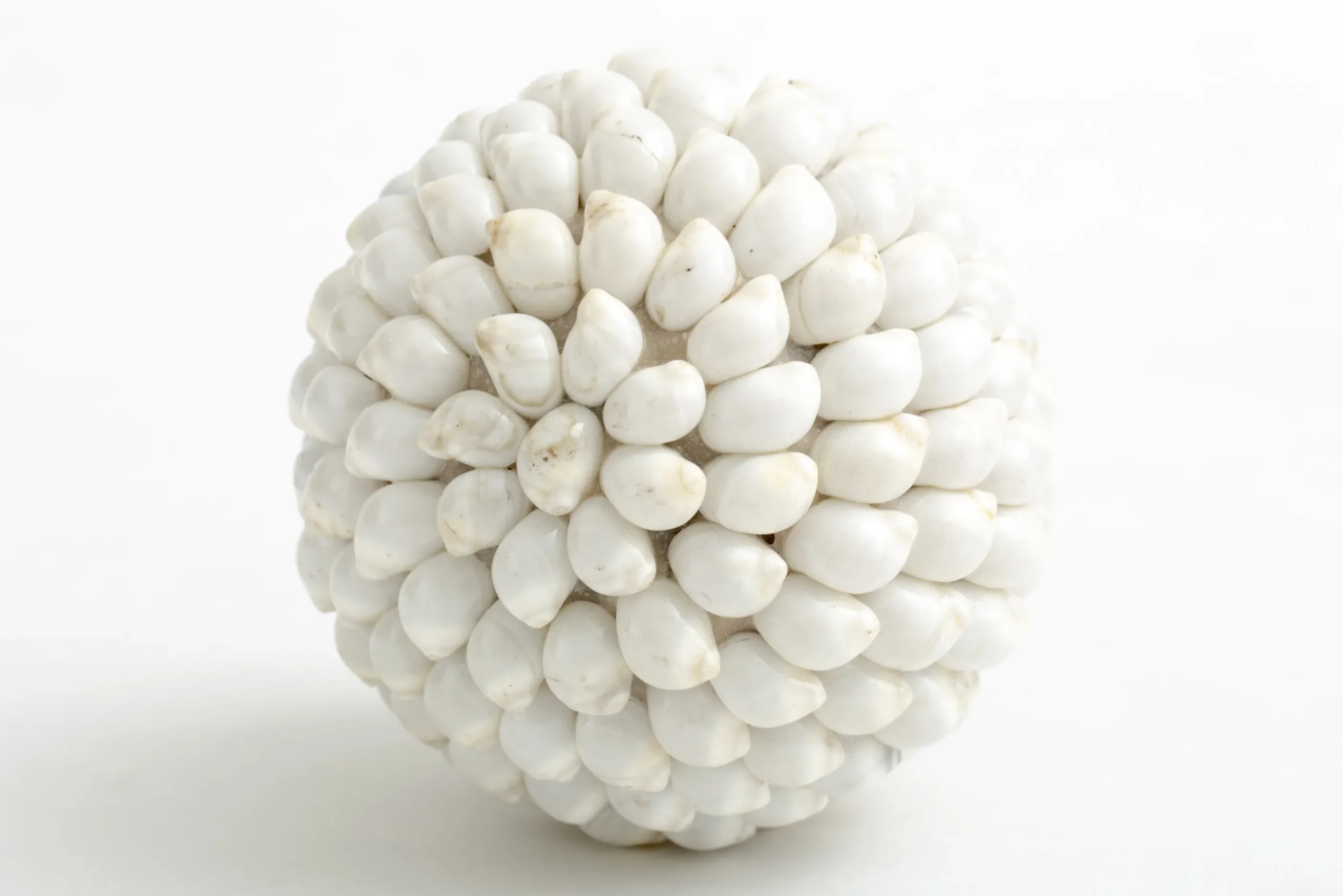 Flamant Nalani, Decobal, L