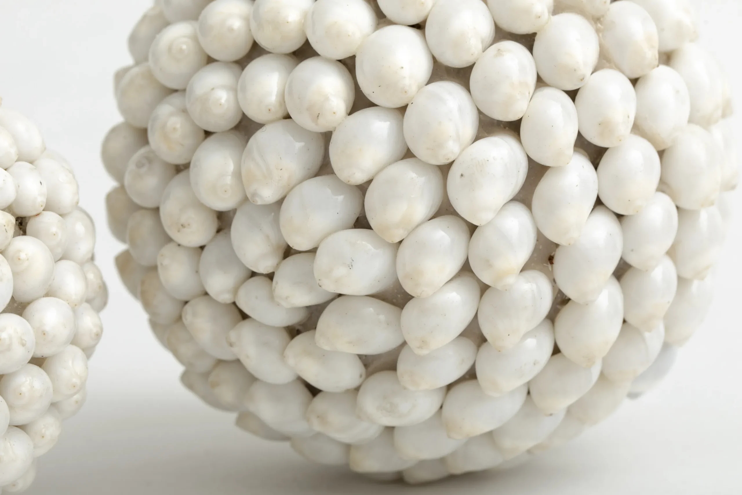 Flamant Nalani, Decobal, L