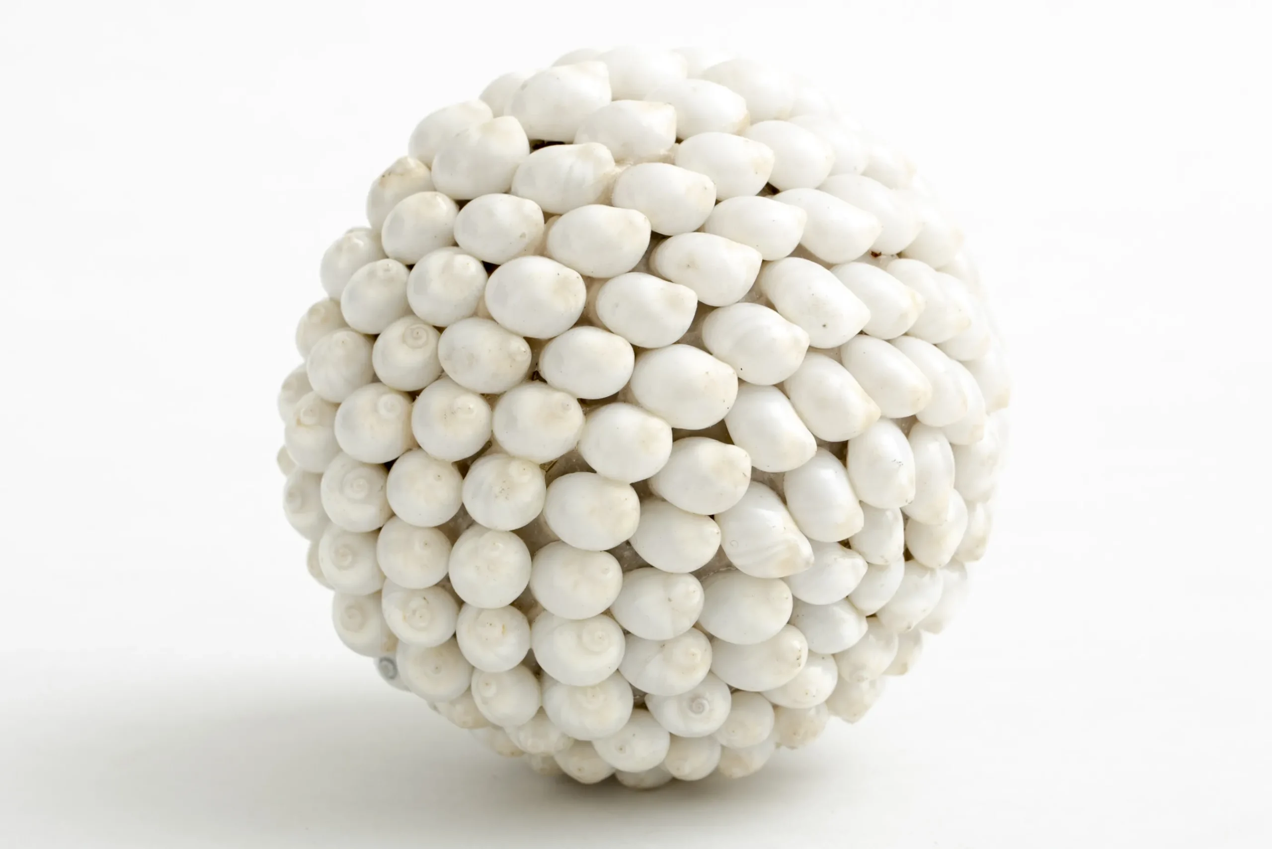 Flamant Nalani, Decobal, M