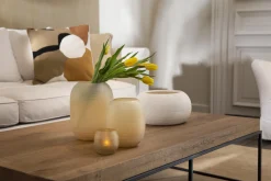 Flamant Phileas, Vaas, Glas, S