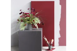 Flamant Rouge Baiser