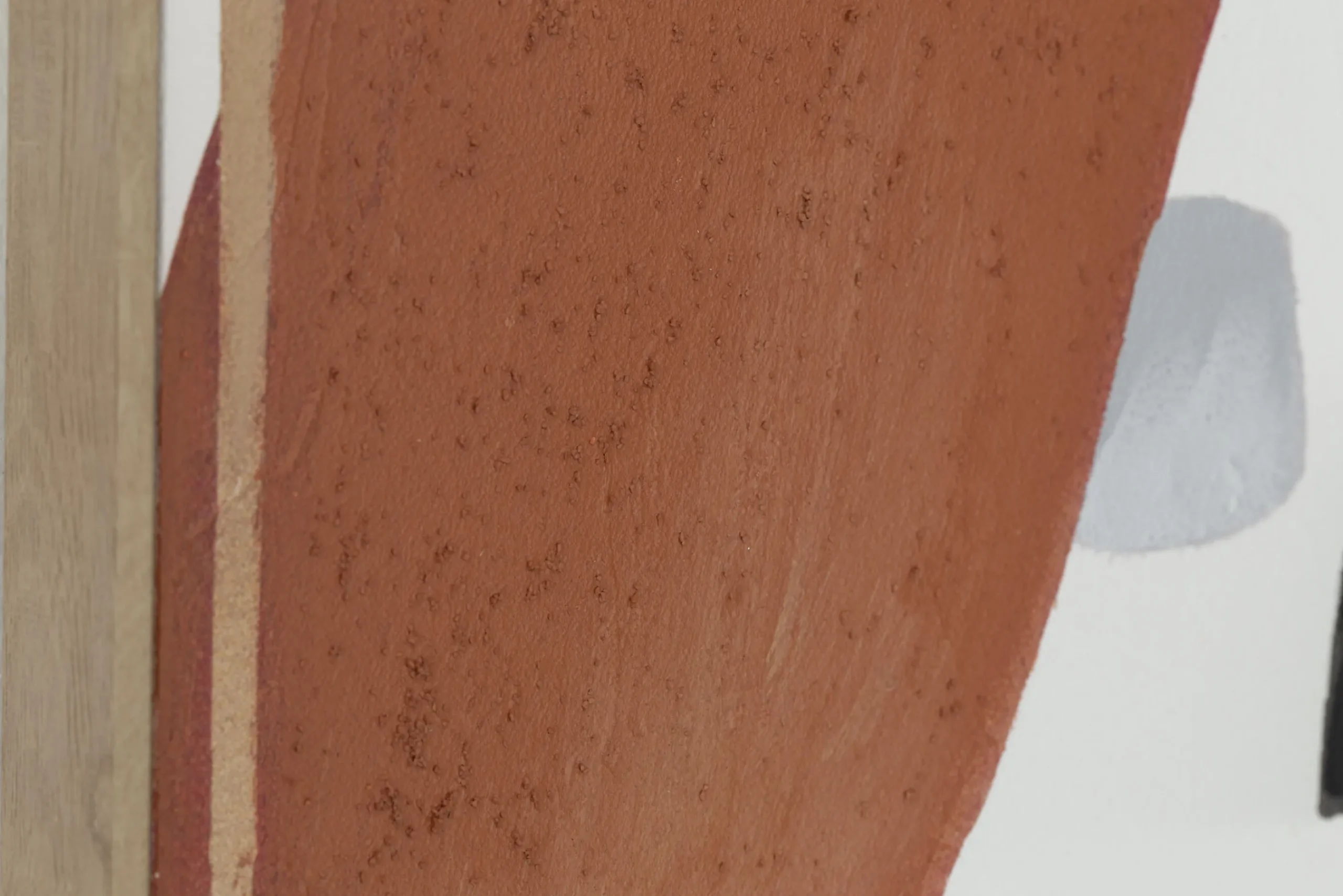 Flamant Safira, Kunst Aan De Muur