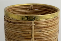 Flamant Sebino, Paraplubak