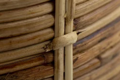 Flamant Sebino, Paraplubak