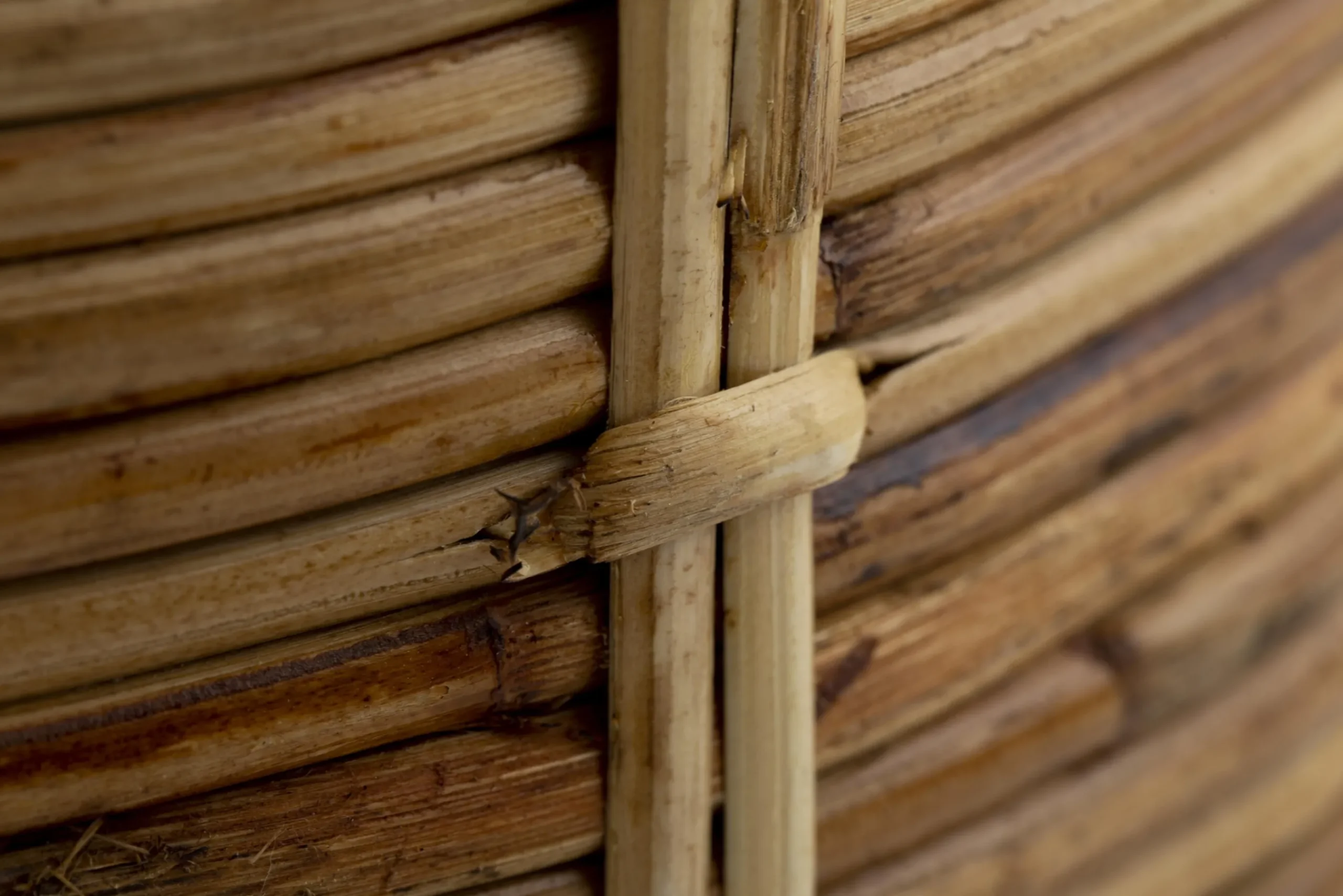 Flamant Sebino, Paraplubak