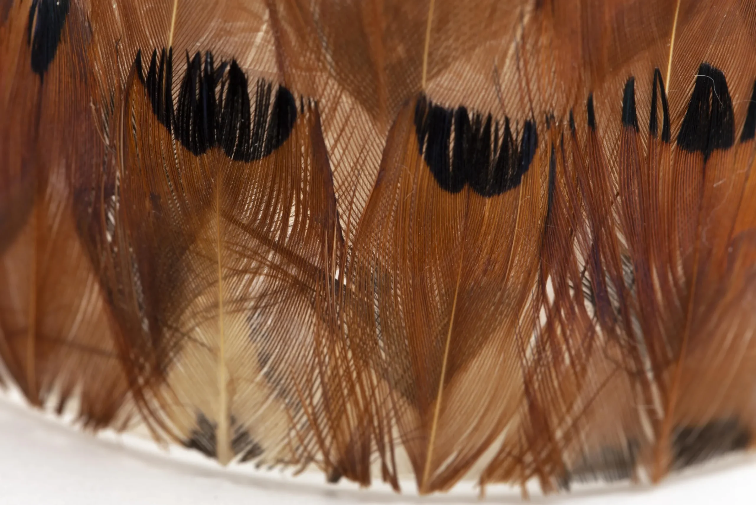 Flamant Sterling, Theelichthouder, Veren, L