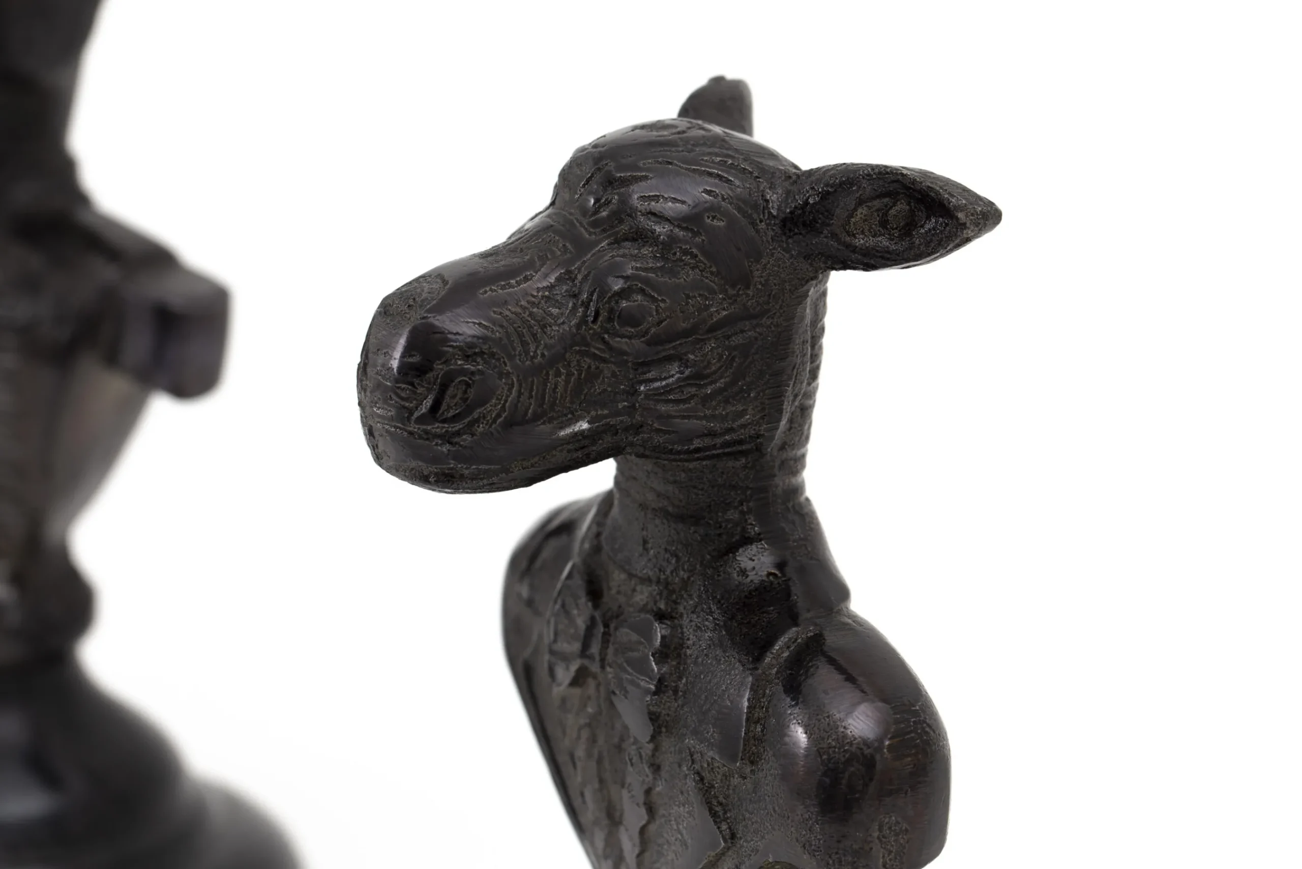 Flamant Stevig, Nijlpaard