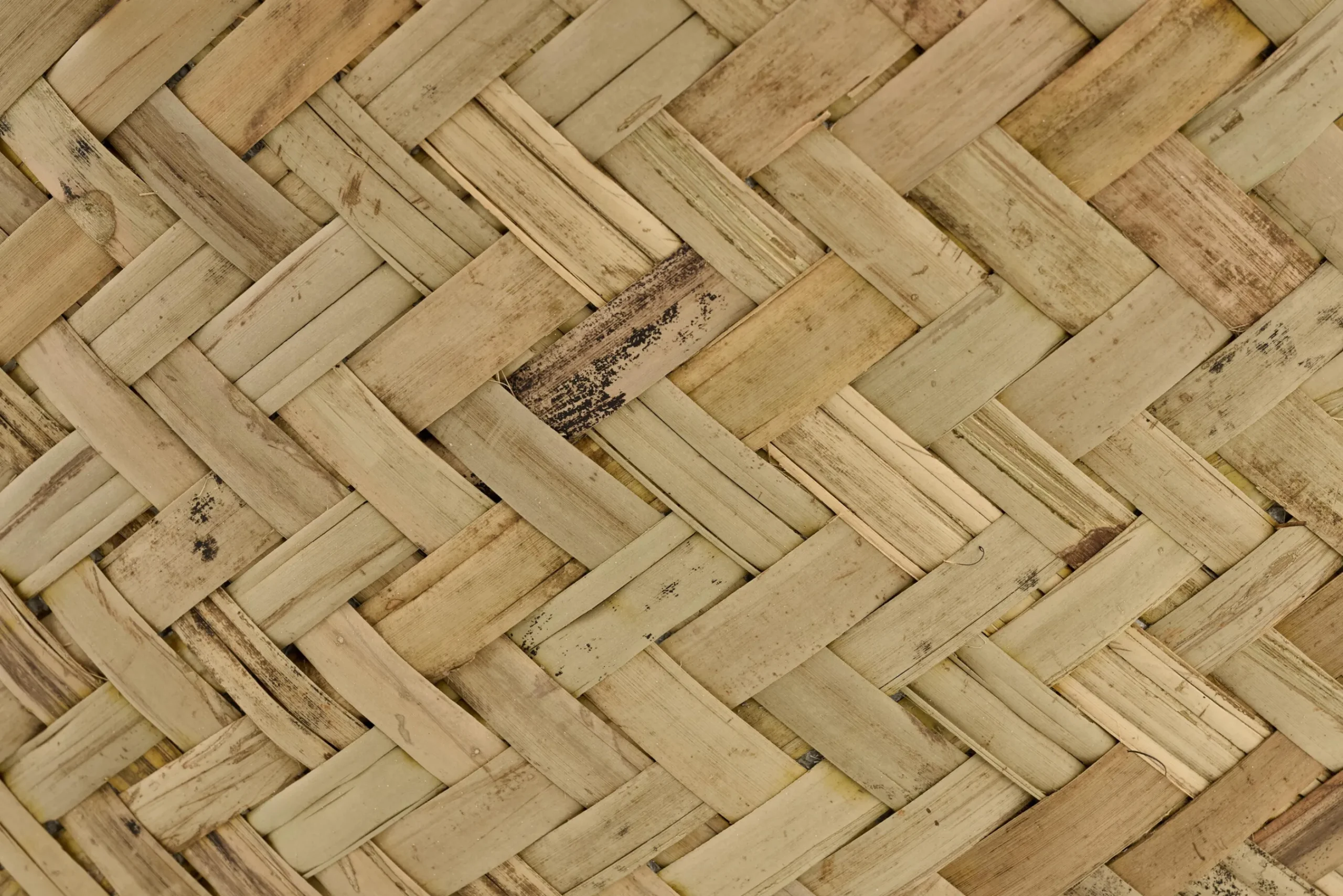 Flamant Tizio, Planter, L