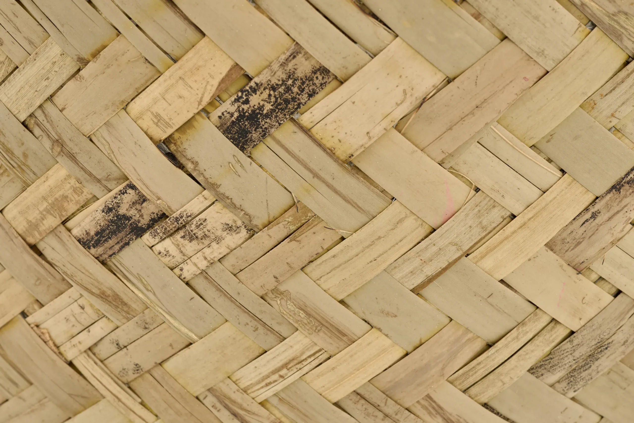 Flamant Tizio, Planter, M