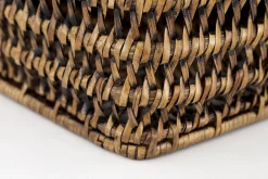 Flamant Togo, Mand, Riet, S