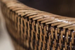 Flamant Togo, Papierbak, Riet