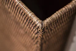 Flamant Togo, Paraplubak, Riet